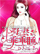 小野妻，乖乖睡！小说