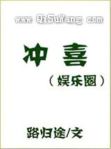 冲喜[娱乐圈]小说