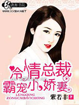 冷情总裁霸宠小娇妻小说
