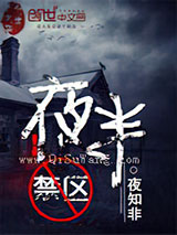夜半禁区小说