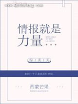 [综英美]情报就是力量小说