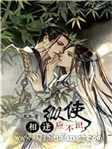 纵使相逢应不识小说