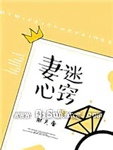 妻迷心窍小说