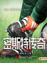 密斯特传奇小说