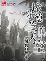 埃尔德兰的天空小说