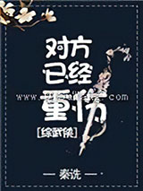 对方已经重伤[综武侠]小说