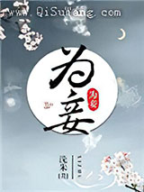 为妾小说