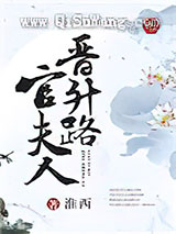 官夫人晋升路小说