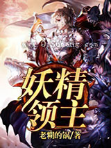 妖精领主小说