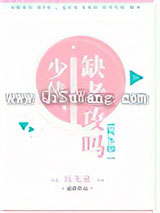 少侠，缺老攻吗[娱乐圈]小说