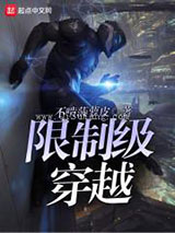 限制级穿越小说