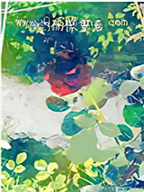 [综]偶像重启小说