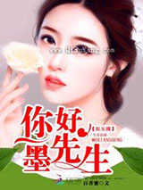 你好，墨先生小说