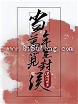 当年万里觅封侯小说