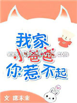 我家小爸爸你惹不起小说