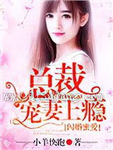闪婚蜜爱：总裁宠妻上瘾小说