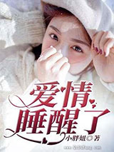 爱情睡醒了小说