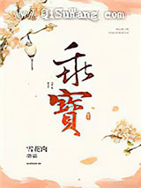 天子掌中宝小说