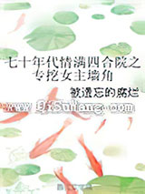 七十年代情满四合院之专挖女主墙角小说