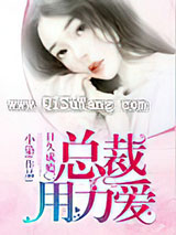 日久成瘾:总裁,用力爱小说