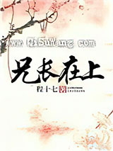 兄长在上小说