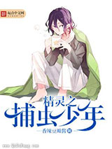 精灵之捕虫少年小说