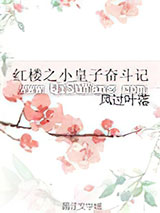 红楼之小皇子奋斗记小说