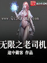 无限之老司机小说