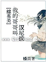 [综英美]我哥哥叫汉尼拔小说