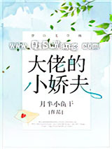 大佬的小娇夫小说