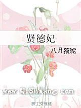 贤德妃小说