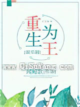 重生为王[娱乐圈]小说
