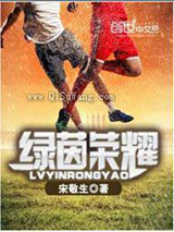 绿茵荣耀小说