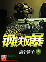 抗战之钢铁风暴小说