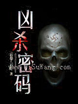 凶杀密码小说