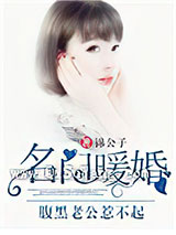 名门暖婚：腹黑老公惹不起小说