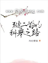 （红楼同人）琏二爷的科举之路小说