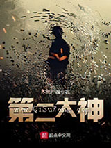 第二大神小说