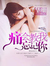 痛会教我忘记你小说
