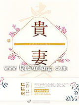 贵妻小说