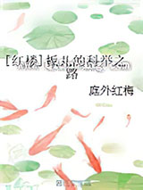 [红楼]板儿的科举之路小说