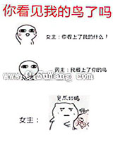 你看见我的鸟了吗小说