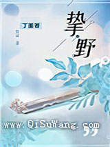 挚野小说
