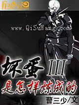 坏蛋是怎样炼成的3小说