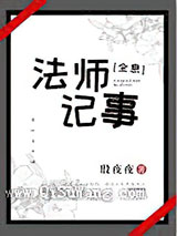 法师记事[全息]小说
