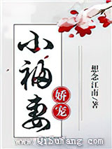 娇宠小福妻小说