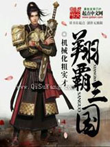 翔霸三国小说