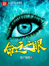命运之眼小说