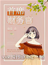 首席财务官小说