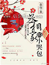 丞相家的小哭包小说